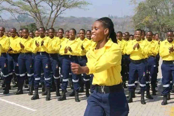 SCIENTIST PRODUCTION